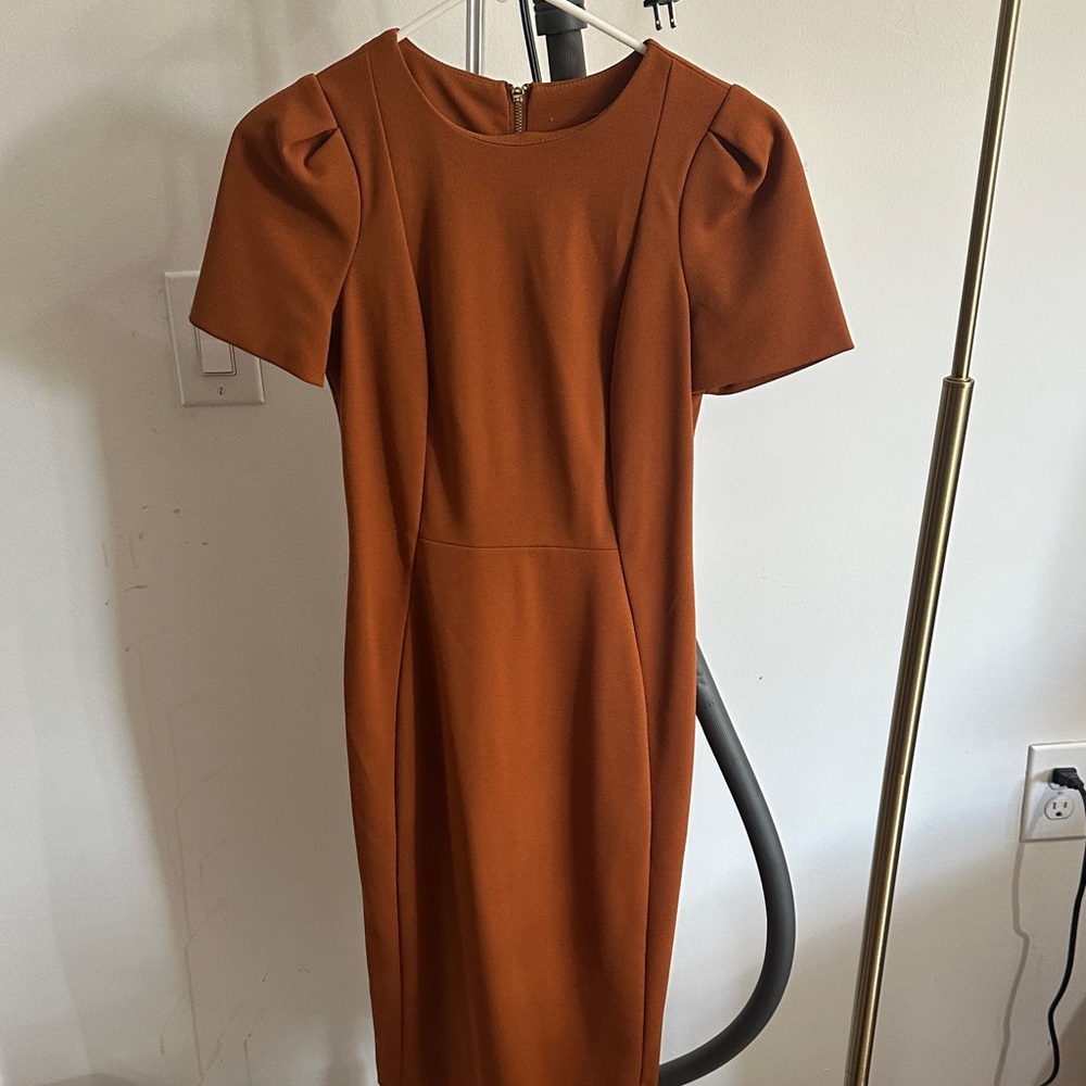 Elegant Rust Dress